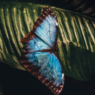 nature-gallery10